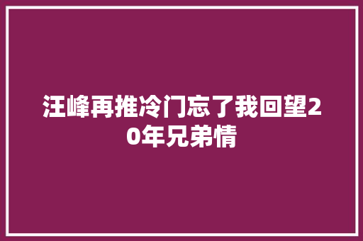 汪峰再推冷门忘了我回望20年兄弟情