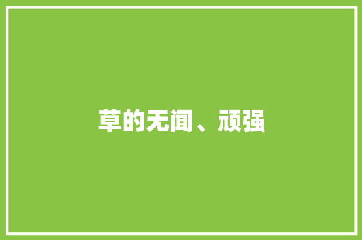 草的无闻、顽强