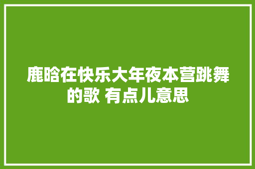 鹿晗在快乐大年夜本营跳舞的歌 有点儿意思