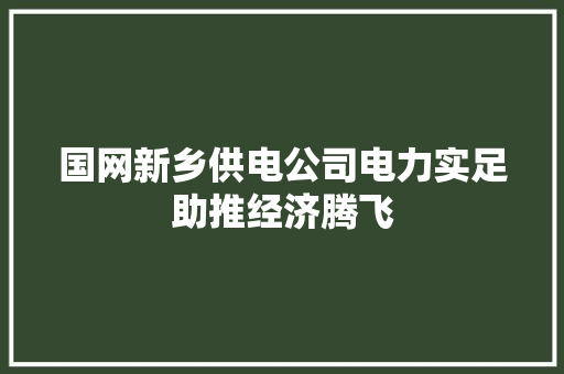 国网新乡供电公司电力实足助推经济腾飞