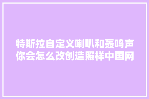 特斯拉自定义喇叭和轰鸣声你会怎么改创造照样中国网友最有才 汽车知识
