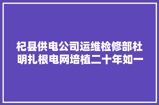杞县供电公司运维检修部杜明扎根电网培植二十年如一日
