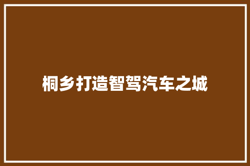 桐乡打造智驾汽车之城