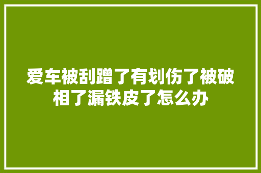 爱车被刮蹭了有划伤了被破相了漏铁皮了怎么办