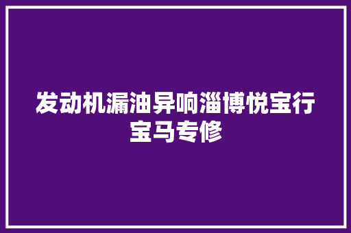 发动机漏油异响淄博悦宝行宝马专修