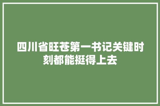 四川省旺苍第一书记关键时刻都能挺得上去