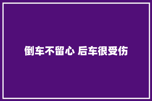 倒车不留心 后车很受伤