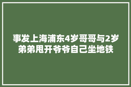 事发上海浦东4岁哥哥与2岁弟弟甩开爷爷自己坐地铁