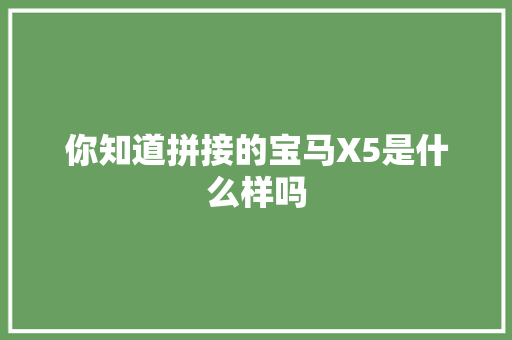 你知道拼接的宝马X5是什么样吗
