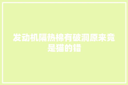 发动机隔热棉有破洞原来竟是猫的错