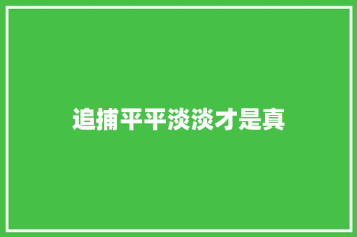 追捕平平淡淡才是真