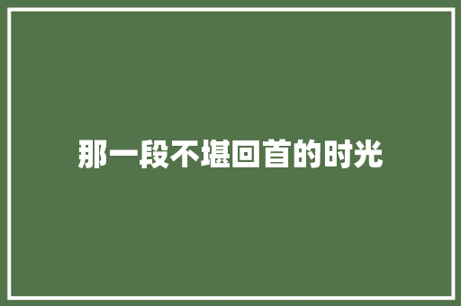 那一段不堪回首的时光