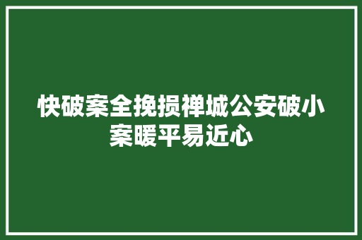 快破案全挽损禅城公安破小案暖平易近心