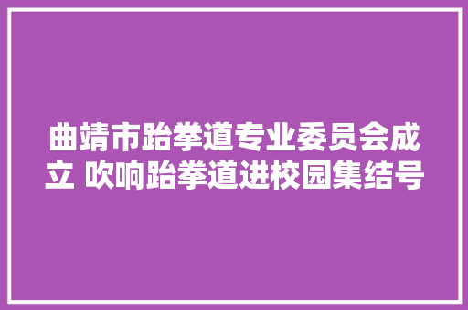 曲靖市跆拳道专业委员会成立 吹响跆拳道进校园集结号