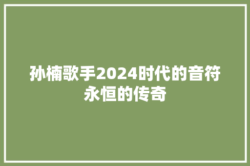 孙楠歌手2024时代的音符永恒的传奇