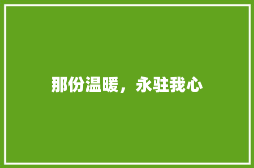 那份温暖，永驻我心
