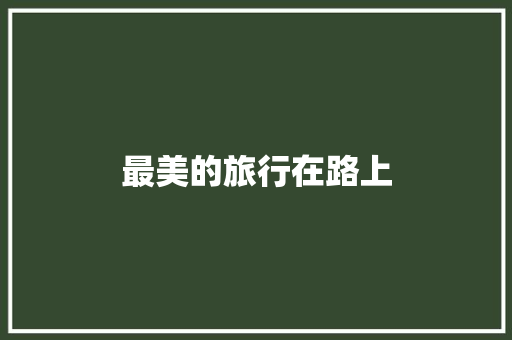 最美的旅行在路上
