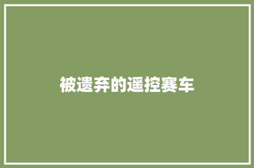 被遗弃的遥控赛车