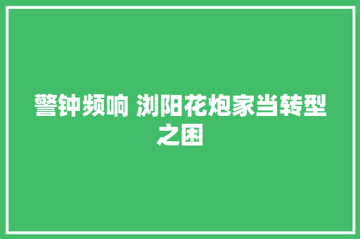 警钟频响 浏阳花炮家当转型之困 汽车知识