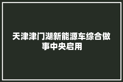 天津津门湖新能源车综合做事中央启用