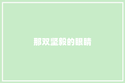 那双坚毅的眼睛