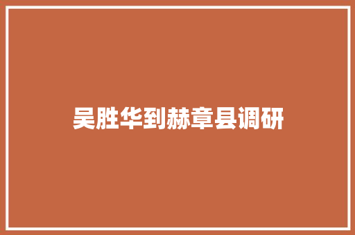 吴胜华到赫章县调研