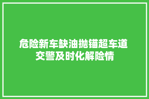 危险新车缺油抛锚超车道 交警及时化解险情