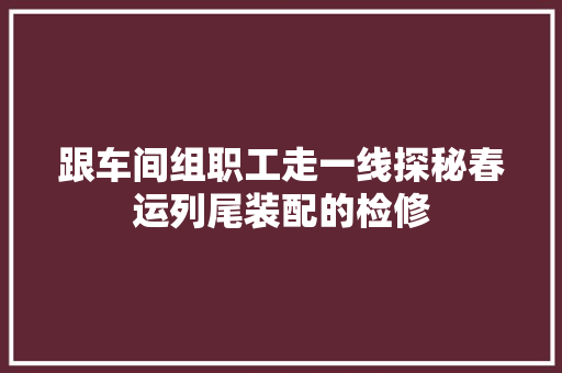 跟车间组职工走一线探秘春运列尾装配的检修