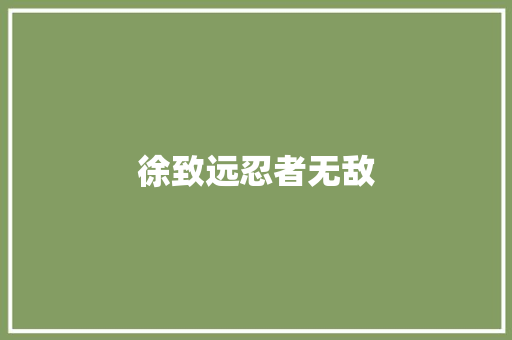 徐致远忍者无敌