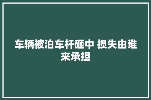 车辆被泊车杆砸中 损失由谁来承担 汽车知识