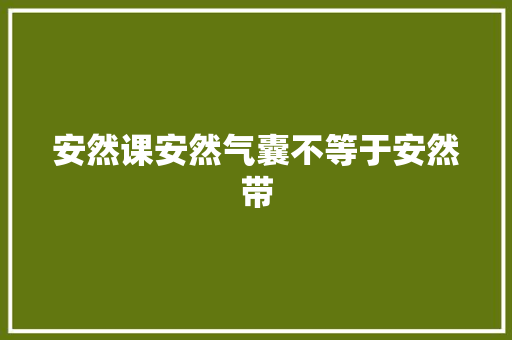 安然课安然气囊不等于安然带