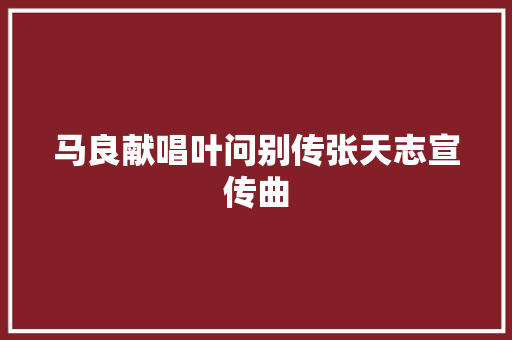 马良献唱叶问别传张天志宣传曲