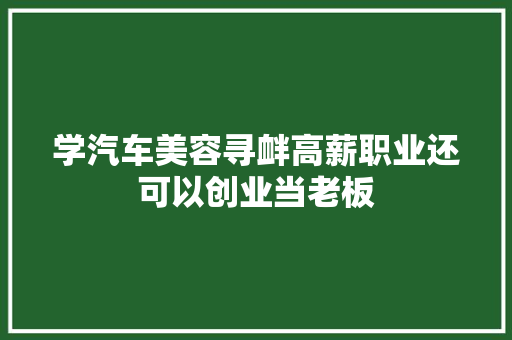 学汽车美容寻衅高薪职业还可以创业当老板