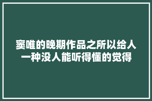 窦唯的晚期作品之所以给人一种没人能听得懂的觉得
