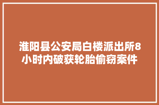 淮阳县公安局白楼派出所8小时内破获轮胎偷窃案件