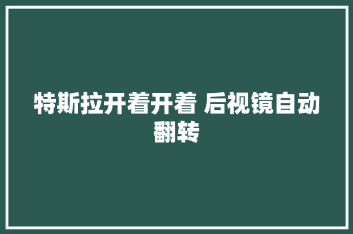 特斯拉开着开着 后视镜自动翻转