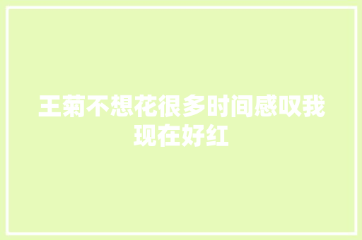 王菊不想花很多时间感叹我现在好红
