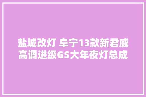 盐城改灯 阜宁13款新君威高调进级GS大年夜灯总成