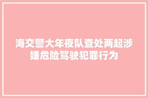 海交警大年夜队查处两起涉嫌危险驾驶犯罪行为