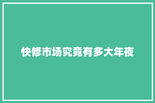 快修市场究竟有多大年夜