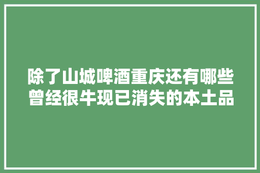 除了山城啤酒重庆还有哪些曾经很牛现已消失的本土品牌