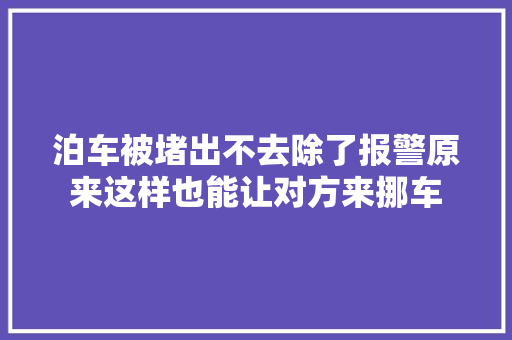 泊车被堵出不去除了报警原来这样也能让对方来挪车