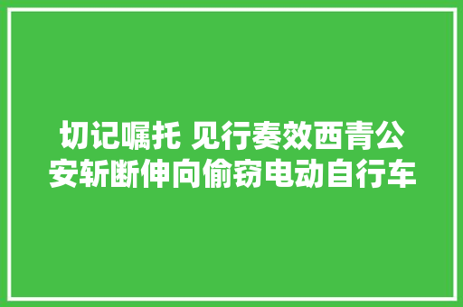 切记嘱托 见行奏效西青公安斩断伸向偷窃电动自行车的黑手