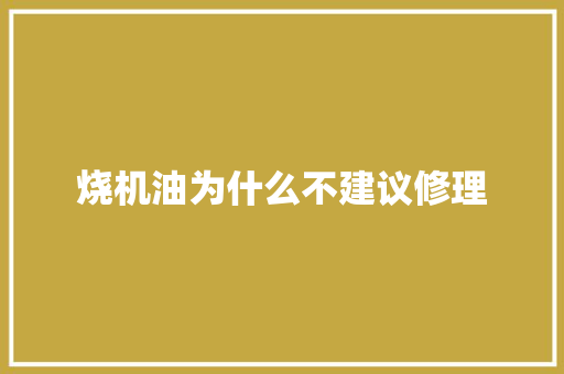 烧机油为什么不建议修理