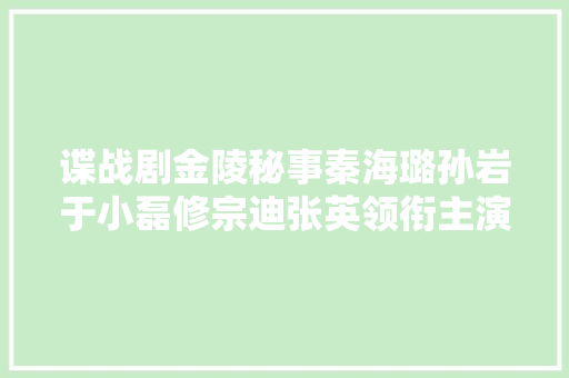 谍战剧金陵秘事秦海璐孙岩于小磊修宗迪张英领衔主演