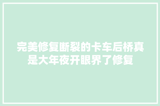 完美修复断裂的卡车后桥真是大年夜开眼界了修复