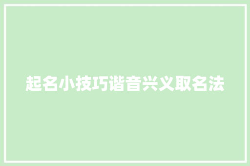 起名小技巧谐音兴义取名法