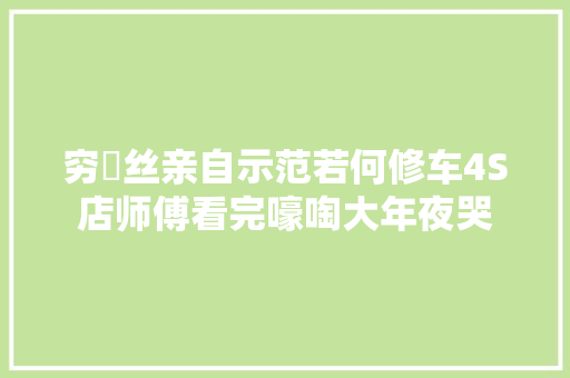 穷屌丝亲自示范若何修车4S店师傅看完嚎啕大年夜哭