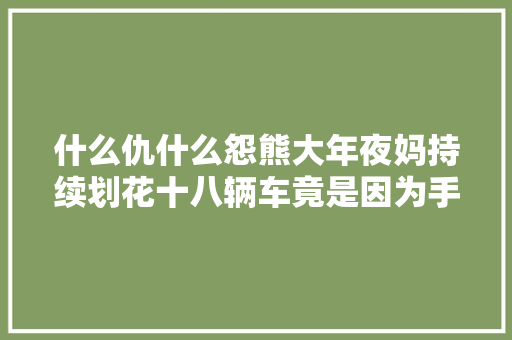 什么仇什么怨熊大年夜妈持续划花十八辆车竟是因为手痒难耐
