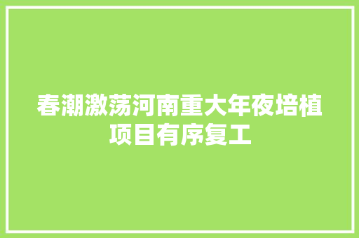 春潮激荡河南重大年夜培植项目有序复工